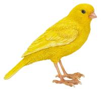 Vivid Arts Pet Pal (Canario)