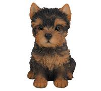 Vivid Arts Pet Pals Décoration Yorkshire Terrier Negro/Marrón