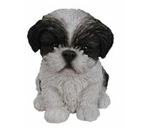 Vivid Arts Pet Pals ShihTzu Chiot noir et blanc-PP-SZBK-F