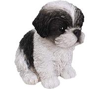 Vivid Arts Pet Pals ShihTzu Chiot noir et blanc-PP-SZBK-F