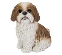 Vivid Arts - Shih-Tzu realista - XRL-SZ12-D