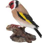 Vivid Arts WBC-GOLF-F - Decoración para el hogar o el jardín de resina con forma de pájaro jilguero