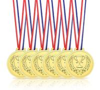 VIVIIHOO Medallas de Cumpleaños Infantiles - Juego de 6, Medallas de Plástico Dorado con Cintas para Regalos, Día Deportivo, Competencias y Trofeos Grabados para Niños