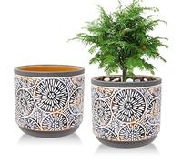 Vivimee Paquete de 2 macetas de Terracota de cerámica de 5.7 Pulgadas para Plantas, Juego de macetas con Agujero de Drenaje para Cactus, suculentas, bambú, Hierbas, cerámica de Arcilla Grande, bonsái