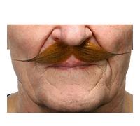 VIVING Bigote My Other Me Castaño