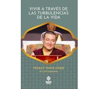 Vivir a través de las turbulencias de la vida.