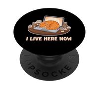 Vivo Aquí Ahora Cat Owner Desarrollador de Software PopSockets PopGrip Adhesivo