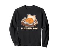 Vivo Aquí Ahora Cat Owner Desarrollador de Software Sudadera