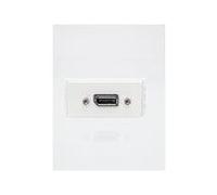 Vivolink Outlet Panel Displayport ., WI221268