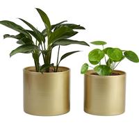 Vixdonos Metal Flower Pots Garden Planters Indoor Round Succulent Containers, Pack 2 Cactus Plant Pots with Drainage Hole (5.9inch+6.7inch, Gold)