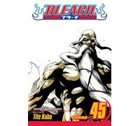 Viz Bleach GN Vol. 45 Paperback Manga: Volume 45