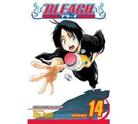 Viz Bleach Vol. 14 Paperback Manga: Volume 14