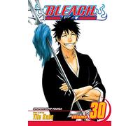 Viz Bleach Vol. 30 Paperback Manga: Volume 30