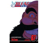 Viz Bleach Vol. 67 Paperback Manga: Volume 67