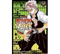 Demon Slayer: Kimetsu no Yaiba Vol. 17 – Successors – Manga, tapa blanda