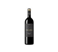 Vizcarra 15 Meses Tinto Fino Magnum 2022