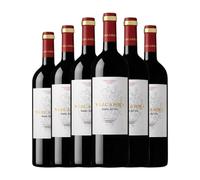 Vizcarra Senda del Oro Tempranillo Ribera del Duero Joven 75 cl Vino tinto (Caja de 6 Botellas de 75 cl)