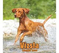 Vizsla Calendar 2026: 14-Month Organizer from Nov 2025 to Dec 2026 | Perfect for Home, Office, School & Family Scheduling, For Men , Women , Girls , Boys