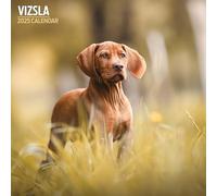 Vizsla - Calendario tradicional 2025