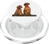 Vizsla Perro Raza Hermoso Húngaro Vizsla Perro PopSockets PopGrip para MagSafe