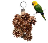 Vjeybv Juguetes de búsqueda para pájaros, juguetes naturales para pájaros con conos de pino, juguetes trituradores de pájaros colgantes, divertidos juguetes de loro, para periquitos, cacatúas,