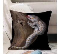 VJIZLOQB Fundas Cojines,Fundas de Cojines Decorativo Fundas Cojin Poliéster por Sala de Dormitorio Sofá,Gecko Tokay sobre Madera Flotante Animal Salvaje Reptil,50x50cm