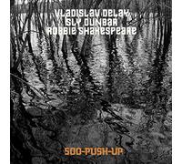 Vladislav Delay Meets Sly & Robbie – 500 Push Up – Vinilo