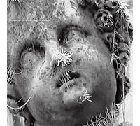 Vleuten, Maarten Van Der - Are You Worthy