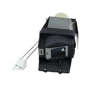 VLIZO Piezas de repuesto: lámpara de proyector 5J.J6L05.001 compatible con Benq MS507H/MS517/MS517F/MW519/MX518/MX518F/TW519/MS276F/MS507H/MX2770/TW519
