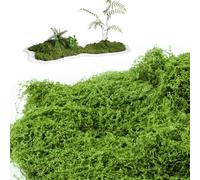 VMUTGA 200g Musgo Artificial, Simulación de Musgo Planta Verde Artificial Musgo Falso Decorar Musgo Decorativo para Manualidades Hogar Pared Maceta Adornos Modelismo Bricolaje Decoración