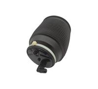 VNABIA Compatible con Toyota para 4Runner 2002-2009 Suspensión Neumática Trasera Izquierda Y Derecha, Fuelle, Bolsa De Resorte De Aire 4809035011 4808035011 Suspensión neumática(Rear Left)