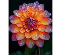 VNGMXF Exterior resistente al invierno, multicolor de alto rendimiento. Fácil de cuidar, multicolor de alto rendimiento. Fácil de cultivar, -2 dalias -F