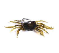 VOANZO - Juego de 3 señuelos de Pesca Suaves para Cangrejo de Cebo Artificial con Anzuelo, Cebo de Cangrejo de simulación, señuelo de Cangrejo, Aparejos de Pesca - 10cm