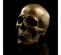 VOANZO Réplica de calavera humana retro extraíble, modelo anatómico, tamaño médico, realista 1:1