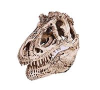 VOANZO Réplica de Modelo de Cráneo de Dragón de Cresta Única de Resina, Fósil de Cráneo con Diente de Dinosaurio, Accesorios de Fotografía Herramienta de Enseñanza Ornamento del Hogar