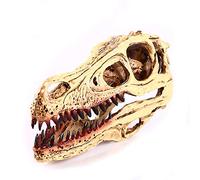 VOANZO Resina Velociraptor modelo de cráneo réplica, dinosaurio diente cráneo fósil, accesorios de fotografía herramienta de enseñanza para el hogar