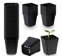 Voarge 50 macetas cuadradas de plástico negro de 5,5 cm, macetas para plantas de semillero para plantas suculentas, plántulas, esquejes, trasplantar