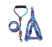 VOCUE Arnés de pecho para perro con correa, cinturón de pecho para mascotas, arnés colorido para actividades al aire libre