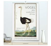 Vögel des südlichen Afrika (hochwertiger Premium Wandkalender 2026 DIN A2 hoch), Kunstdruck in Hochglanz: Kunstvolle Blätter eines großen Forschers aus dem 18. Jahrhundert.