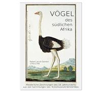 Vögel des südlichen Afrika (Wandkalender 2026 DIN A2 hoch), CALVENDO Monatskalender: Kunstvolle Blätter eines großen Forschers aus dem 18. Jahrhundert.