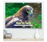 Vögel im Fokus - Ausdrucksstarke Vielfalt in der Vogelwelt (hochwertiger Premium Wandkalender 2026 DIN A2 quer), Kunstdruck in Hochglanz: Die Welt der ... er den gefiederten "Flugbegleitern" begegnet.