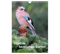Vögel im heimischen Garten (Wandkalender 2026 DIN A4 hoch), CALVENDO Monatskalender: Wunderschöne Aufnahmen, die die Pracht, Vielfalt und ... - eine Freude für jeden Vogelliebhaber.