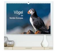 Vögel im Norden Europas (hochwertiger Premium Wandkalender 2026 DIN A2 quer), Kunstdruck in Hochglanz: Beeindruckende Bilder über die faszinierende Vogelwelt in Skandinavien