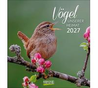 Vögel unserer Heimat 2027: Aufstellbarer Postkartenkalender mit Bildern von Vögeln in der Natur der Heimat. Tisch- und Wandkalender.