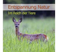 Vogelstimmen - Entspannung Natur-im Reich der Tiere [Import]