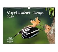 Vogelzauber Europa - Calendario DIN A3 para aves 2026 (incluye calendario, 1 colgante de Navidad (2 piezas en total)