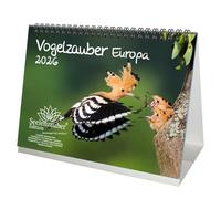 Vogelzauber Europa DIN A5 - Calendario de mesa para 2026 pájaros, juego de regalo, contenido: 1 calendario, 1 colgante de Navidad, 1 colgante de felicitación (total 3 piezas)