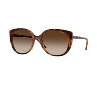 VOGUE EYEWEAR Mujer VOGUE EYEWEAR VO5623S W65613 Gafas de sol Nylon Marrón Marrón Mariposa Normal Sombreado
