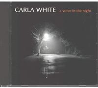 Voice in the Night