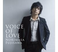 Voice of Love [CD+Dvd]